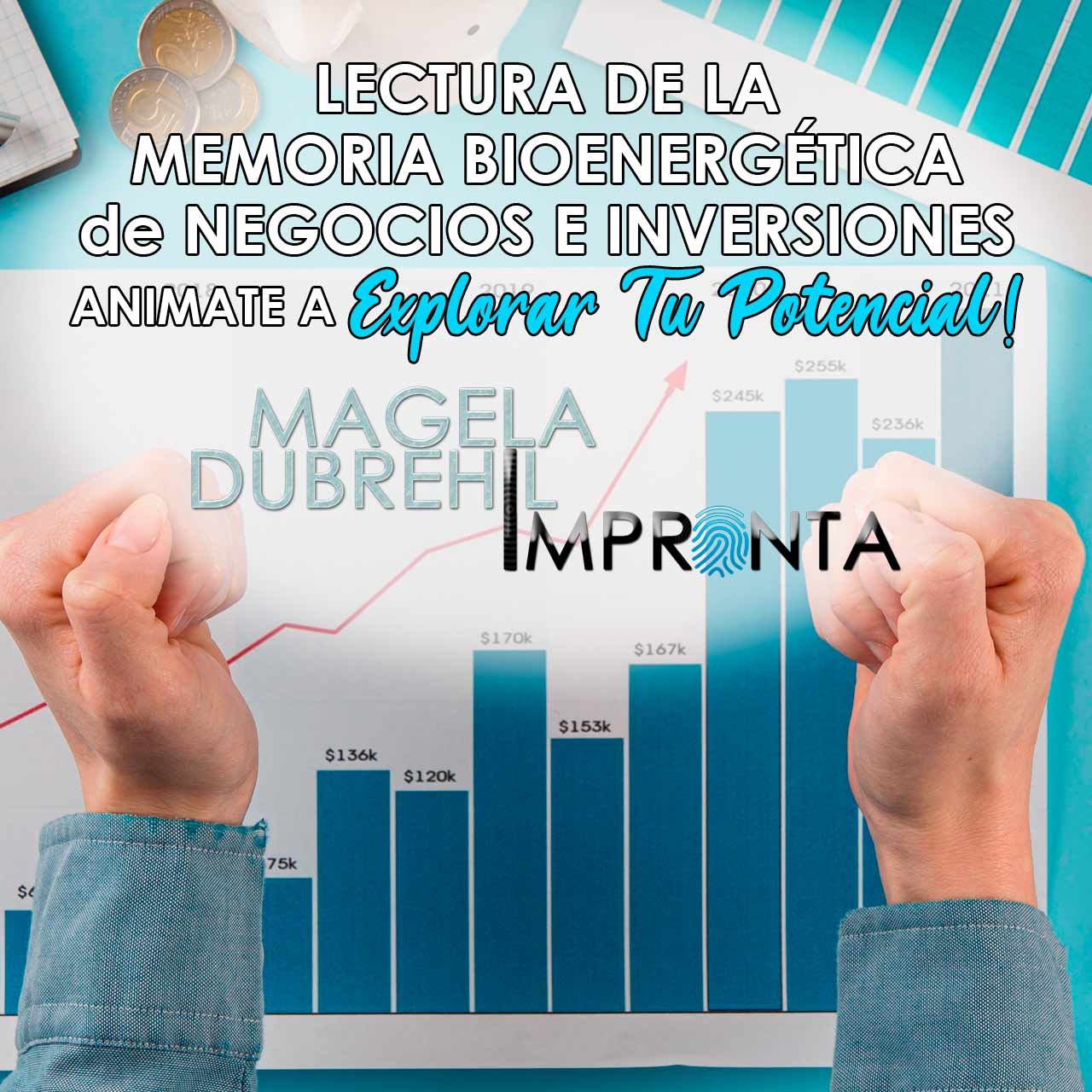 LECTURA-DE-LA-MEMORIA-BIOENERGÉTICA-DE-NEGOCIOS-E-INVERSIONES